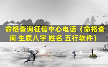 命格查询征信中心电话（命格查询 生辰八字 姓名 五行软件）